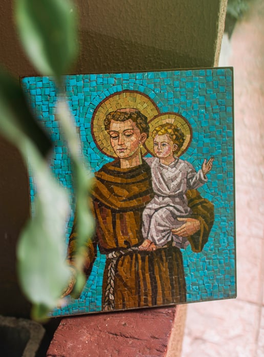 ranyelraw-15801584182-cathopic