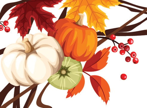 Gourds, fall leaves, berries and vines.